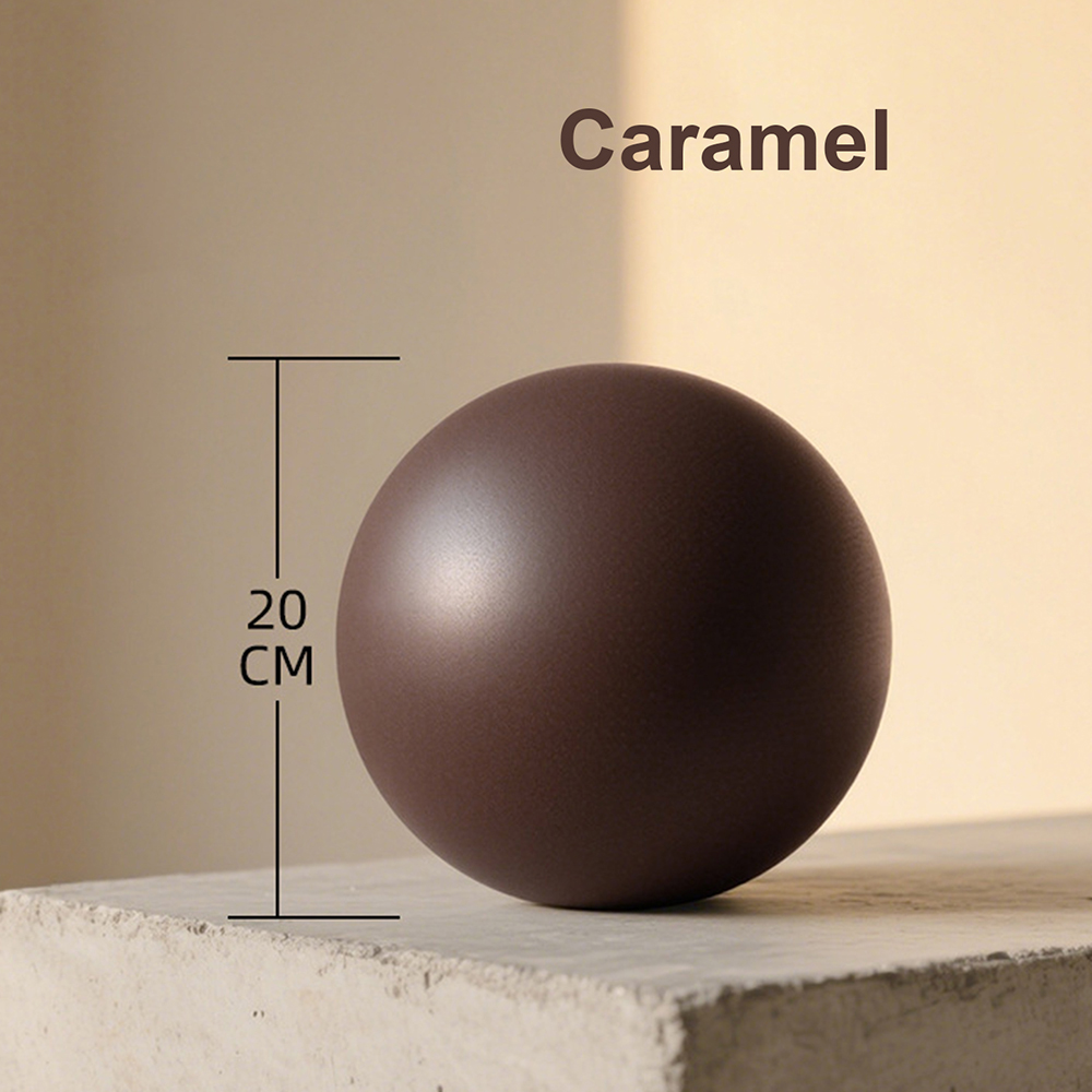 20cm Matte Exercise Ball Barre - đánh giá và giá Pilates Yoga Barre
