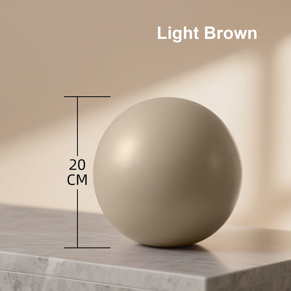 20cm Matte Exercise Ball Barre - đánh giá và giá Pilates Yoga Barre