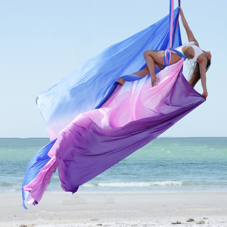 Aerial Yoga Swing, Durable Nyl - đánh giá và giá Pilates Yoga Home
